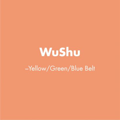 Wushu - Yellow/Green/Blue Belt