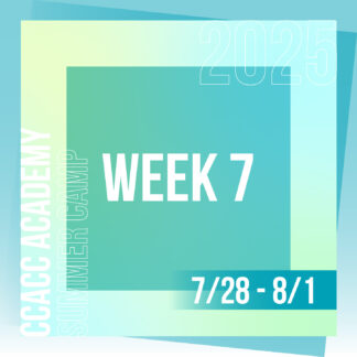 Week 07 (07/28 - 08/01)